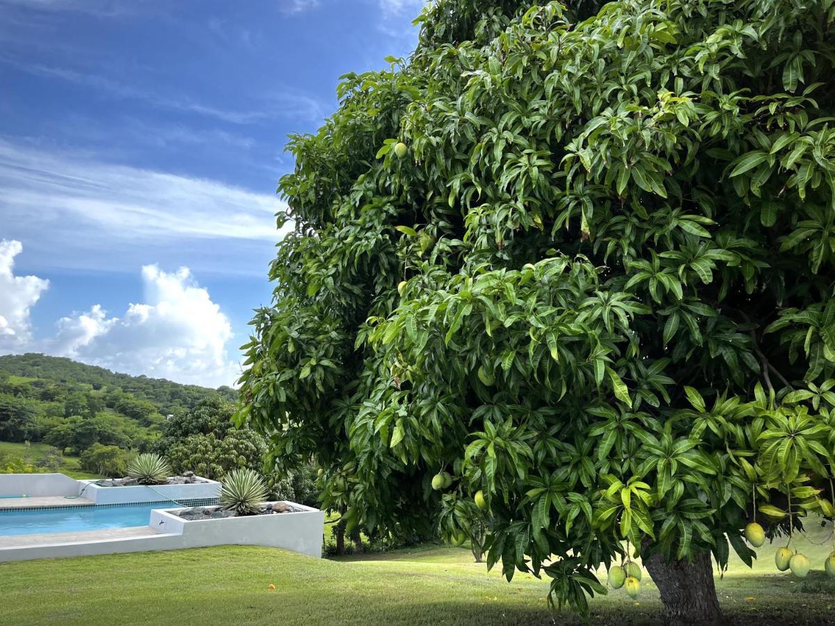 Lejos Eco Retreat Hotel Vieques Exterior foto
